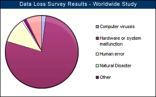 Data Loss Survey Results - World Wide Study